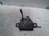 Tie down hook / loop