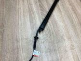 Tailgate/trunk strut/damper
