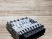 Engine control unit/module ECU