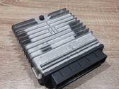 Engine control unit/module ECU
