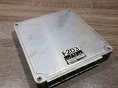 Engine control unit/module ECU