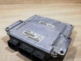 Engine control unit/module ECU