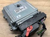 Engine control unit/module ECU