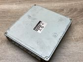 Engine control unit/module ECU