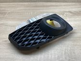 Front fog light trim/grill