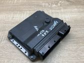 Engine control unit/module ECU