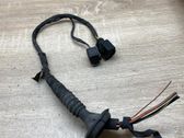 Other wiring loom