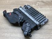 Engine control unit/module ECU