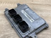 Engine control unit/module ECU