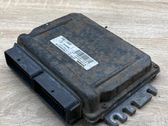 Motorsteuergerät ECU