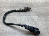 Sonde lambda