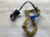 Fog light bulb