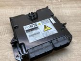 Engine control unit/module ECU