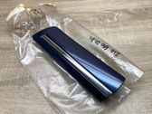 Fender trim (molding)