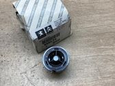 Front door high frequency speaker