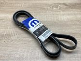 Alternator belt