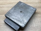 Engine control unit/module ECU