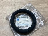 Coil spring mount