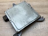 Engine control unit/module ECU