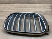 Front bumper upper radiator grill