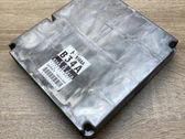 Engine control unit/module ECU