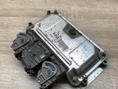 Engine control unit/module ECU