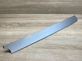 Dashboard trim