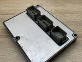 Engine control unit/module ECU