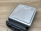 Engine control unit/module ECU