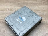 Engine control unit/module ECU