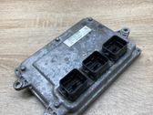 Engine control unit/module ECU