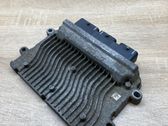 Engine control unit/module ECU
