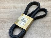 Alternator belt