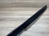 Other rear door trim element