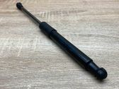 Front bonnet/hood damper/strut