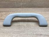 Front interior roof grab handle