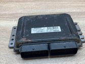 Engine control unit/module ECU