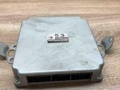 Engine control unit/module ECU