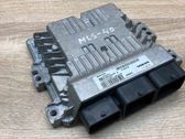Engine control unit/module ECU