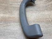 Front interior roof grab handle