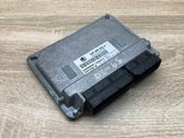 Engine control unit/module ECU