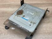 Engine control unit/module ECU