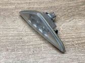 Front fender indicator light