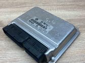 Engine control unit/module ECU