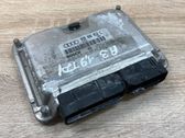 Engine control unit/module ECU