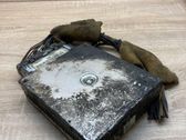 Engine control unit/module ECU
