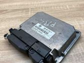Engine control unit/module ECU