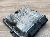 Engine control unit/module ECU