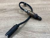 Sonde lambda