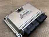 Engine control unit/module ECU